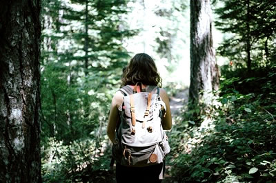 Hiker in a fireproof woods.