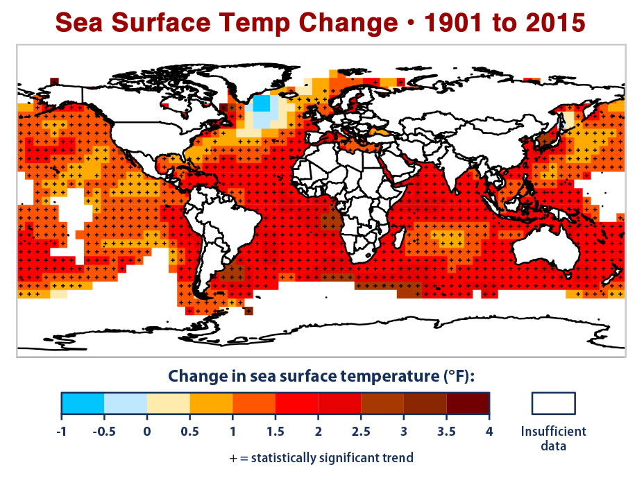 Sea surface temperature.